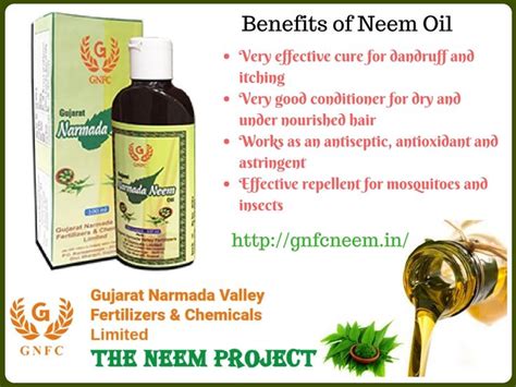  Neem: El Aceite Multifuncional Para Productos de Cuidados Personales y Agrícolas!